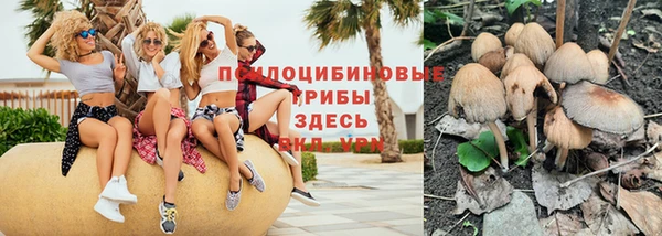 метадон Инта